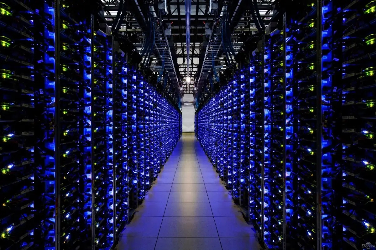 2466.webp.jpg